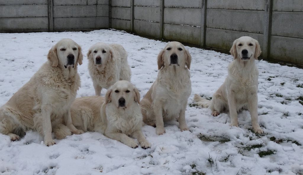 Photos de famille
